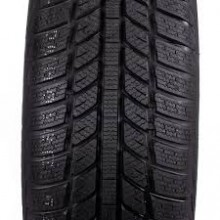 �������� 205/50 R16 RoadX RXFROST WH01 87H � ������������ n
