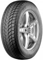 �������� 205/55 R17XL ZETA Antarctica 5 95H t